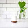 image:imageFellow Joey Double Wall Ceramic Coffee Mug  Refined and Sophisticated Matte Black Single 8 oz CupMatte White