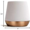 image:imageFellow Big Jo Double Wall Ceramic Coffee Mug  Refined and Sophisticated Matte White Single 12 oz Cup