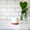 image:imageFellow Big Jo Double Wall Ceramic Coffee Mug  Refined and Sophisticated Matte White Single 12 oz Cup