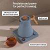 image:imageFellow Corvo EKG Electric Tea KettleElectric Pour Over Coffee and Tea PotQuick Heating Electric KettlesTemperature Control amp BuiltIn Brew TimerMatte White with Maple Handle09 LiterHazy Blue with Maple Handle  Lid Pull