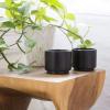 image:imageFellow Monty Milk Art Espresso Cups  Small Double Wall Ceramic Demitasse Matte Black with Graphite Base 3 oz Cup Set of 2